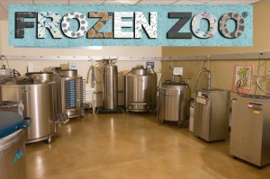 Frozen Zoo